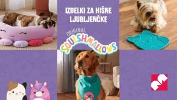 Mercator katalog - 15.1.2025 - 30.6.2025.