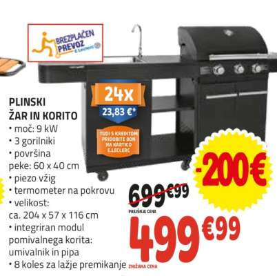 Plinski žar in korito
