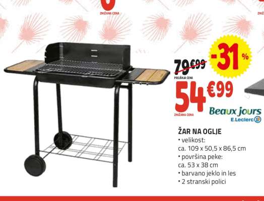 ŽAR NA OGLJE