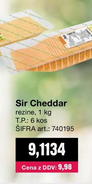 Sir Cheddar