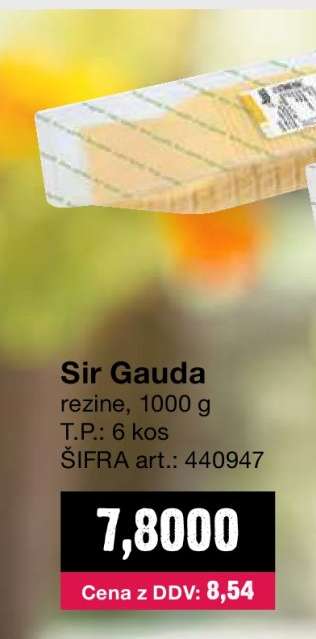 SIR GAUDA
