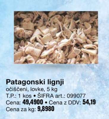 Patagonski lignji