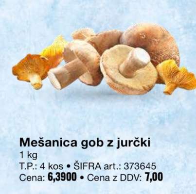 Mešanica gob z jurčki