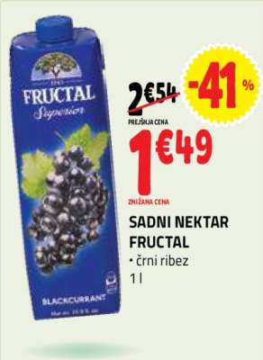 SADNI NEKTAR FRUCTAL
