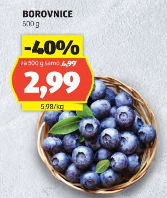 BOROVNICE