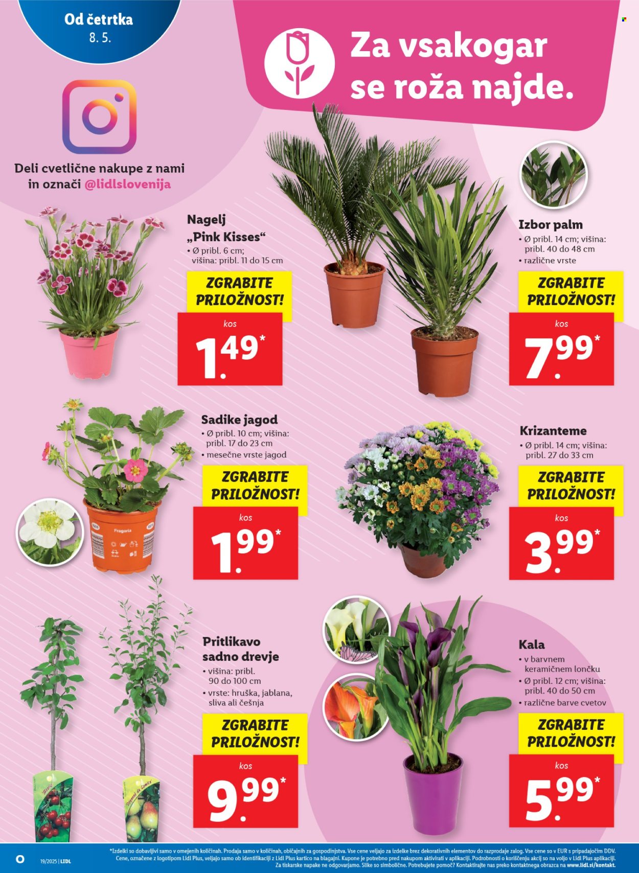 Lidl katalog - 8.5.2025 - 14.5.2025. Stran 1