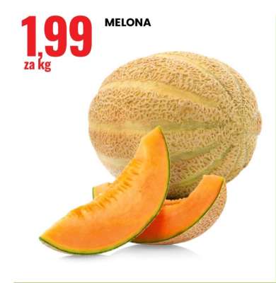 MELONA