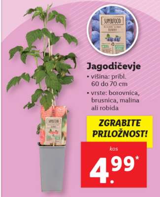 Jagodičevje