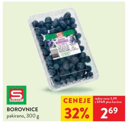 BOROVNICE