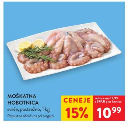 MOŠKATNA HOBOTNICA