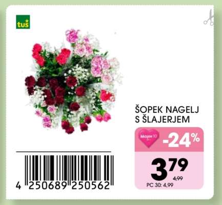 Šopek nagelj s šlajerjem