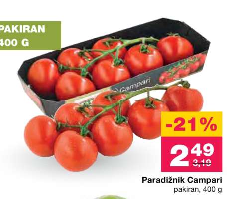 Paradižnik Campari