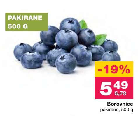BOROVNICE