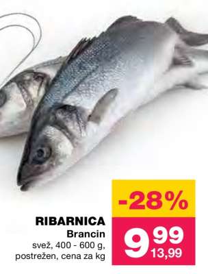 RIBARNICA Brancin