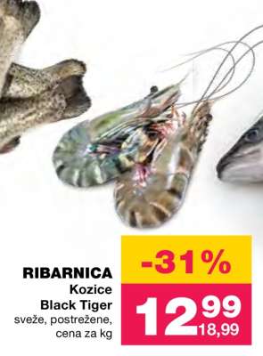 Kozice Black Tiger