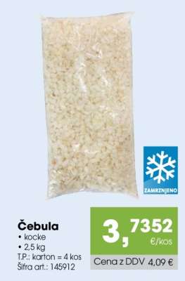 ČEBULA