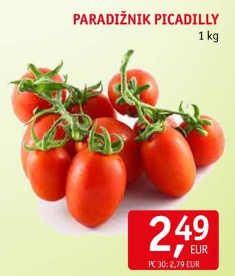 Paradižnik Picadilly