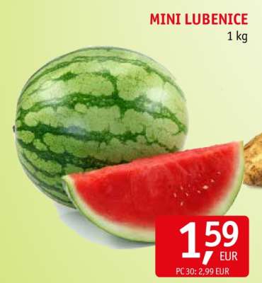 MINI LUBENICE