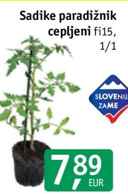 Sadike paradižnik cepljeni fi15, 1/1