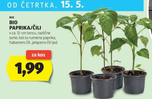 BIO PAPRIKA/ČILI