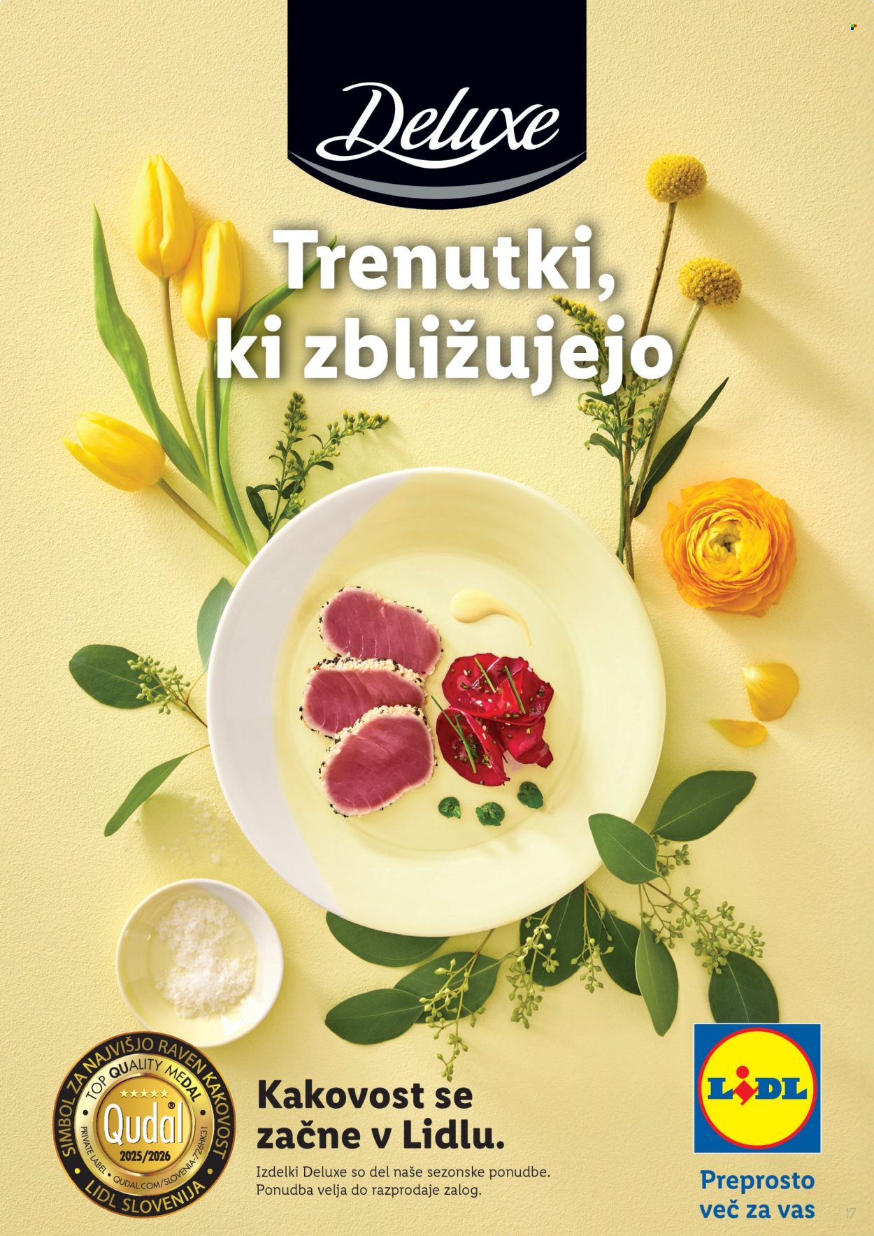 Lidl katalog. Stran 17