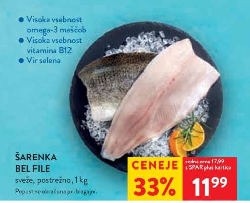 ŠARENKA BEL FILE