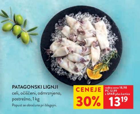 Patagonski lignji