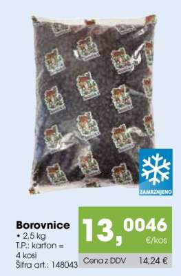 BOROVNICE
