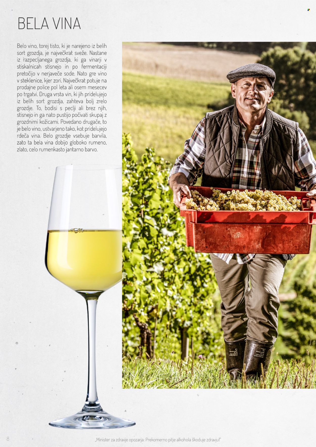 Lidl katalog. Stran 8