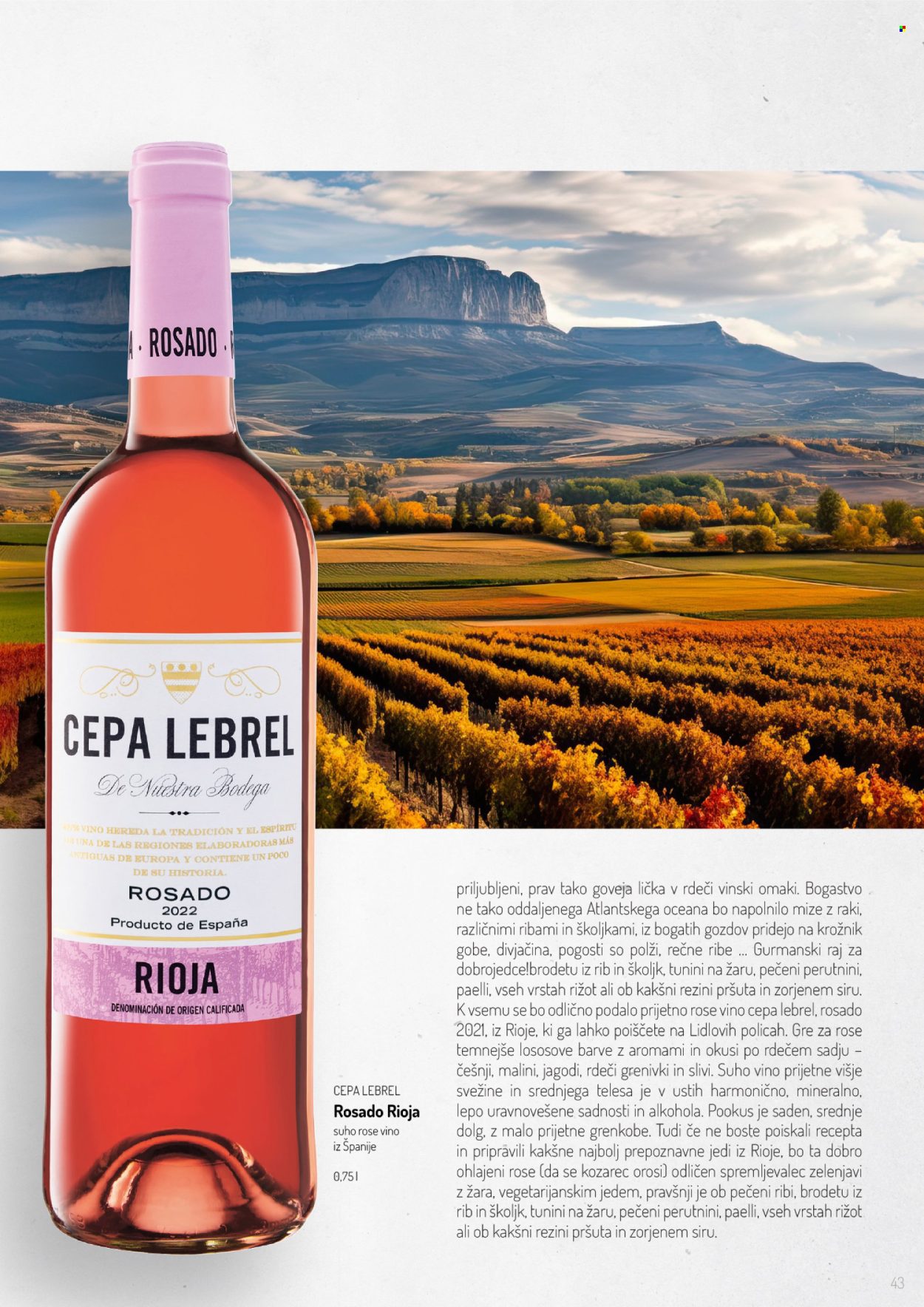 Lidl katalog. Stran 43