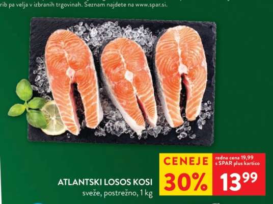 Atlantski losos - kosi