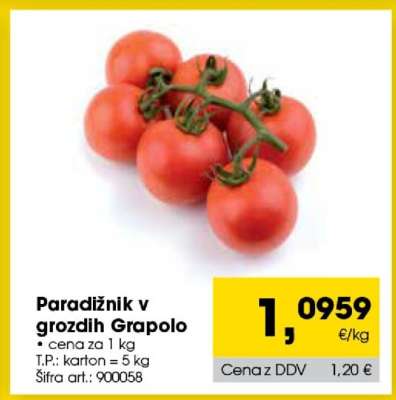 Paradižnik v grozdih Grapolo