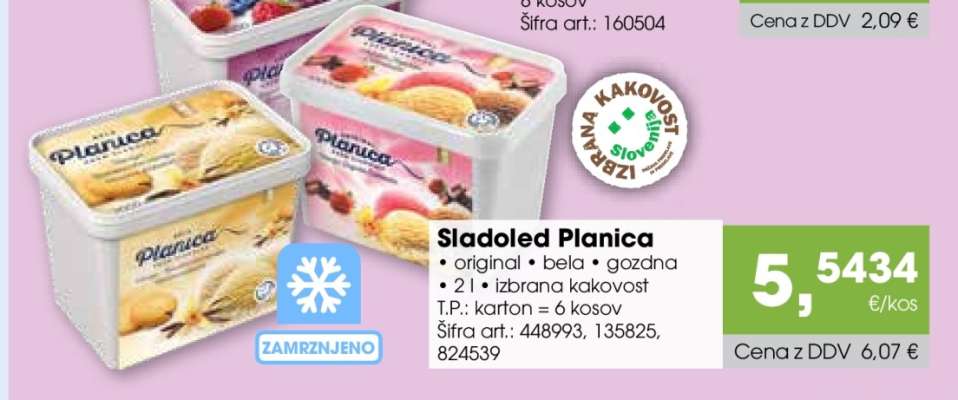 SLADOLED PLANICA