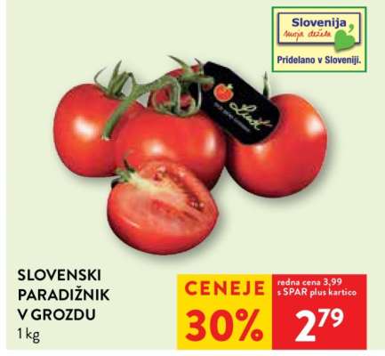 Slovenski paradižnik v grozdu