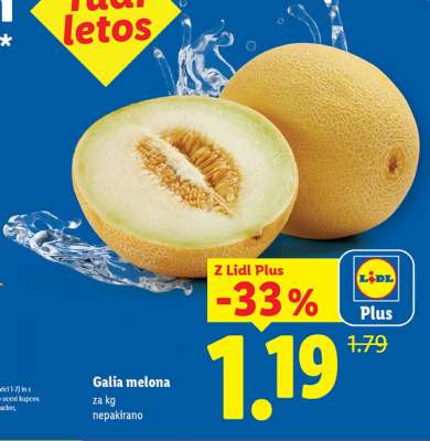 Galia melona