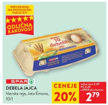DEBELA JAJCA