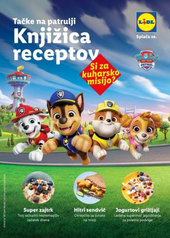 Lidl katalog.