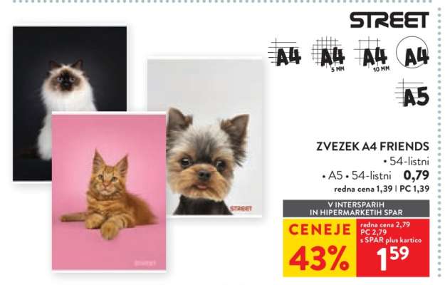 Zvezek A4 Friends