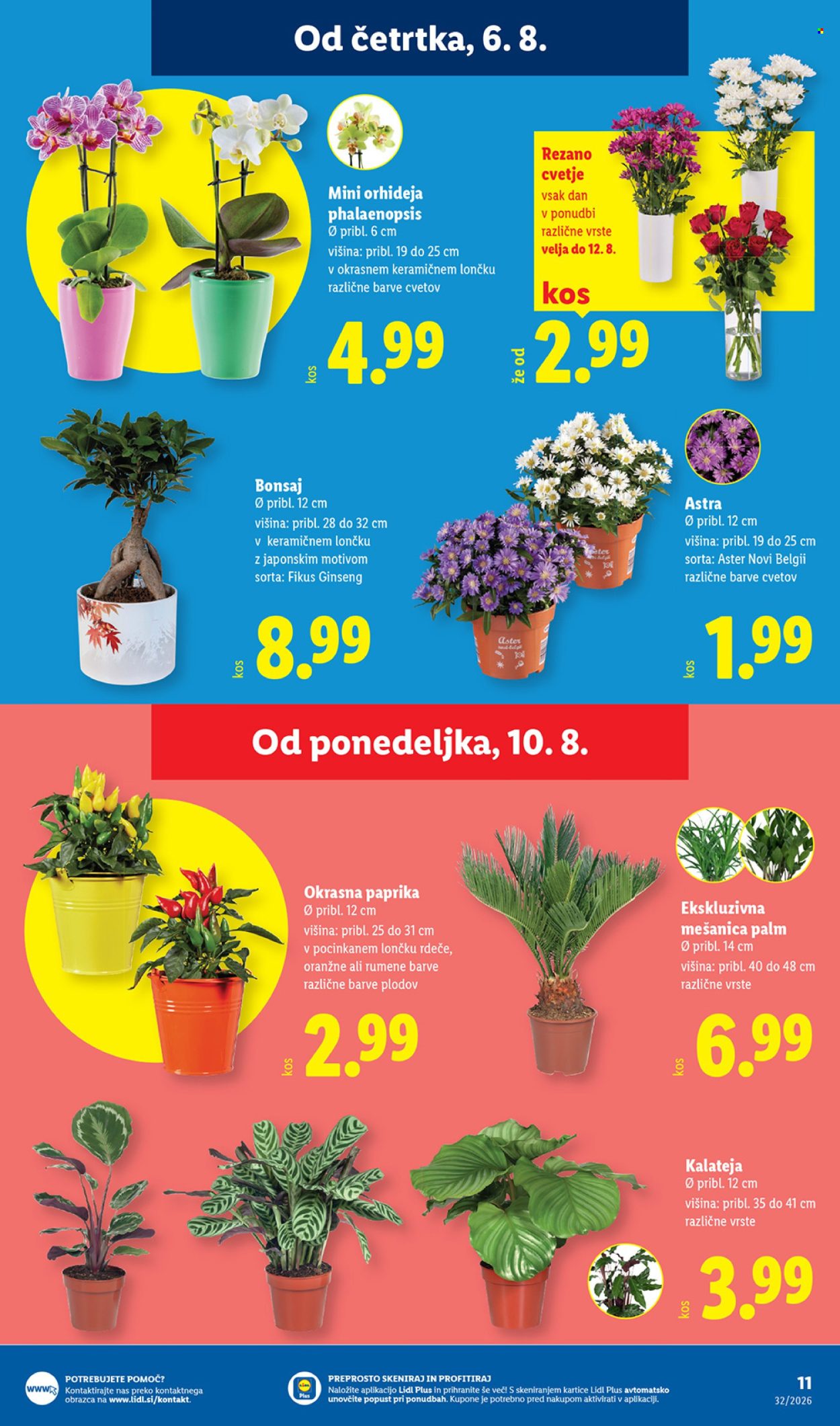 Lidl katalog - 6.8.2026 - 12.8.2026. Stran 23