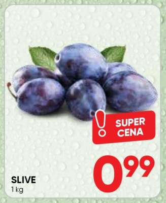 Slive