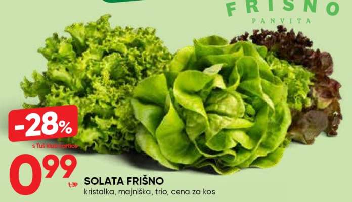 Solata Frišno