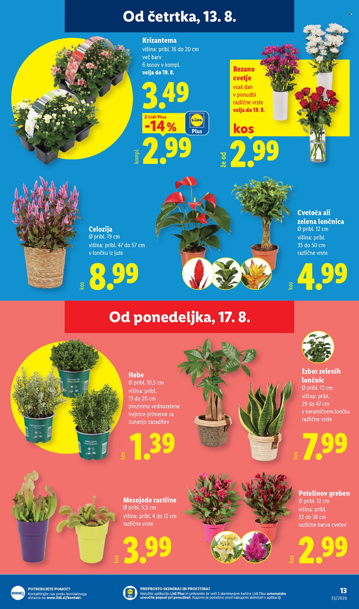 Lidl katalog - 13.8.2026 - 19.8.2026. Stran 21