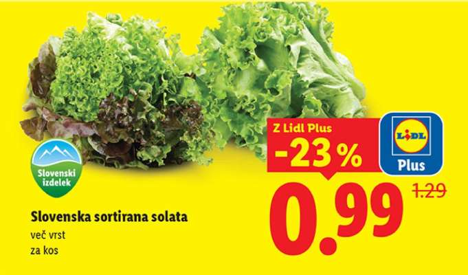 Slovenska sortirana solata