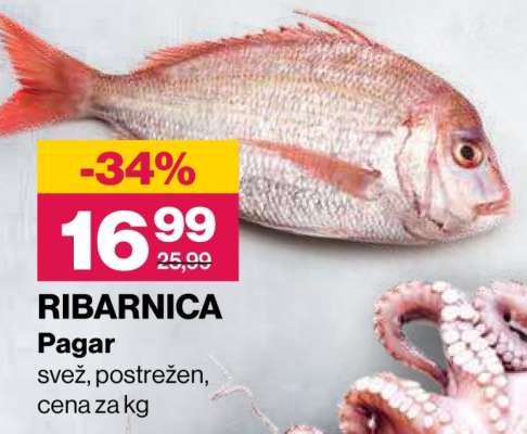 RIBARNICA Pagar