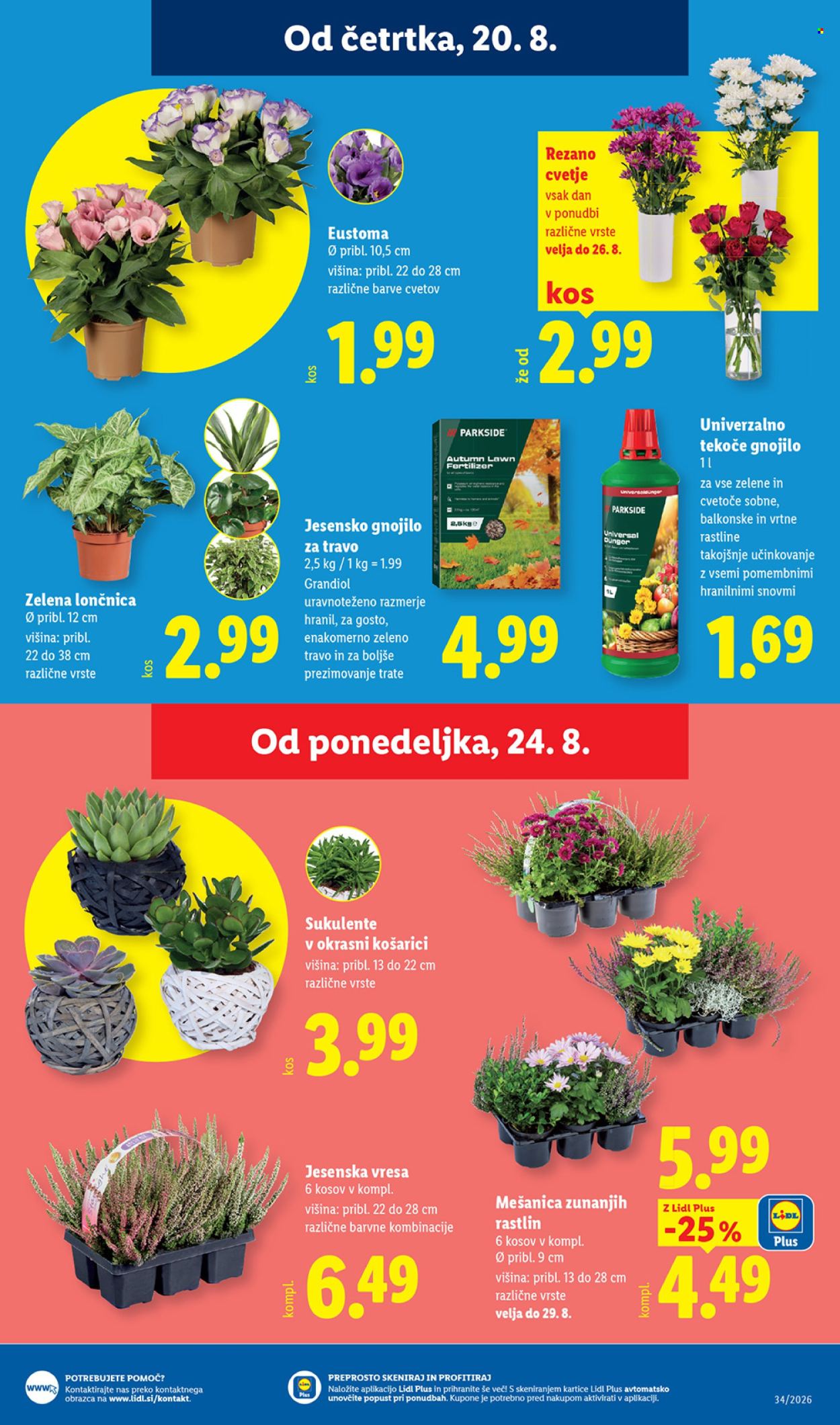 Lidl katalog - 20.8.2026 - 26.8.2026. Stran 25