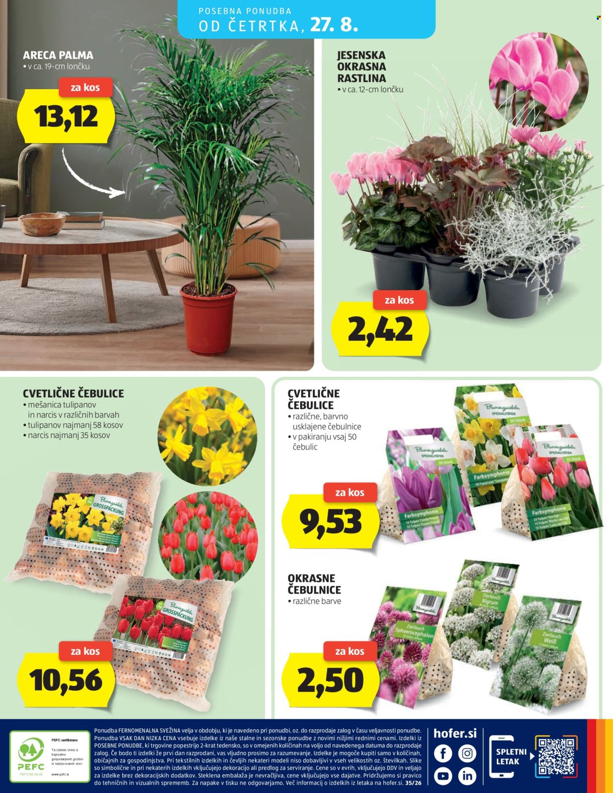 Hofer katalog - 19.8.2026 - 27.8.2026. Stran 24