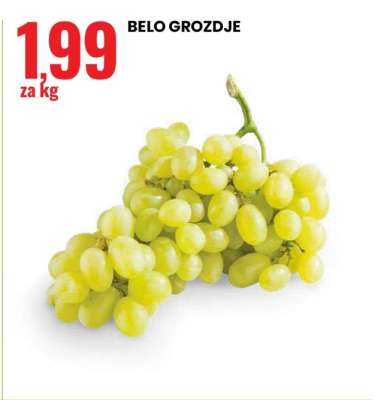 BELO GROZDJE