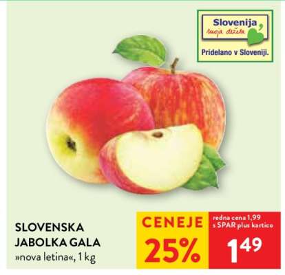Slovenska jabolka Gala