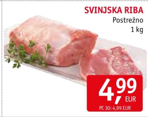 SVINJSKA RIBA