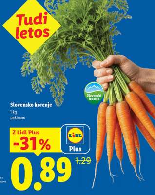 Slovensko korenje